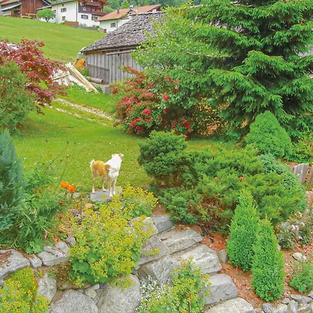 Mit Bergblick